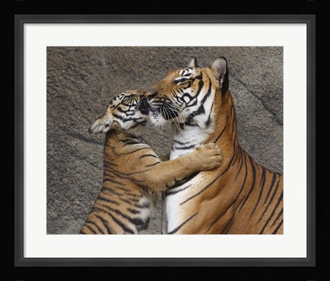 Framed Kiss For Mom Print