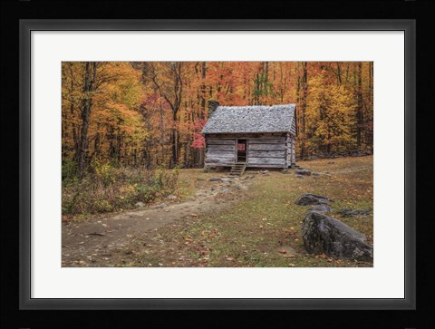 Framed Alex Cole Cabin Print