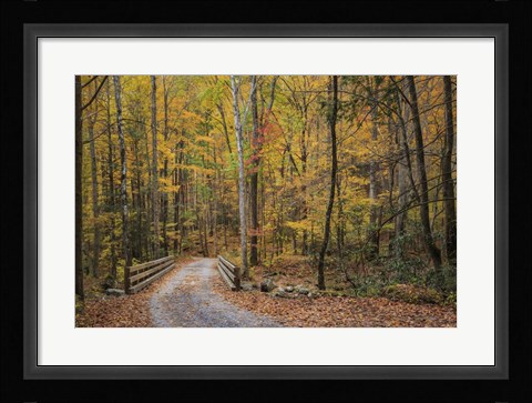 Framed Greenbrier Bridge Path Print