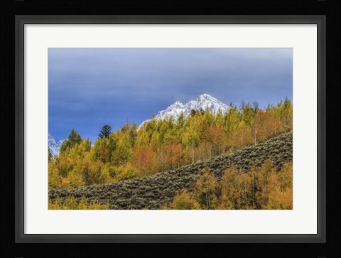 Framed Mountain Fall Color Print