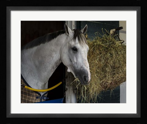 Framed Pre-Race Wheaties Print