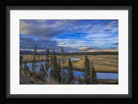 Framed S Curve Hayden Valley Print