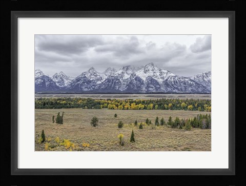 Framed Teton Fall Colors Print