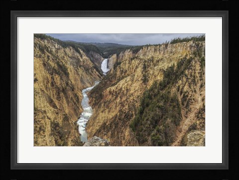 Framed Yellowstone Grand Canyon - Lower Falls Print