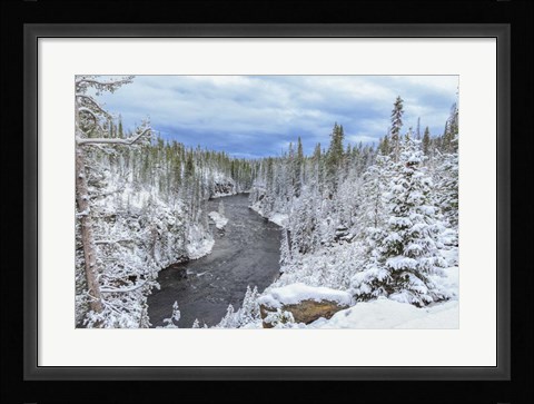Framed Yellowstone Winter In Fall Print