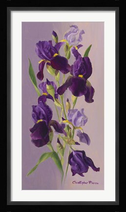 Framed Study In Lavender Print