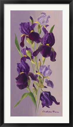 Framed Study In Lavender Print