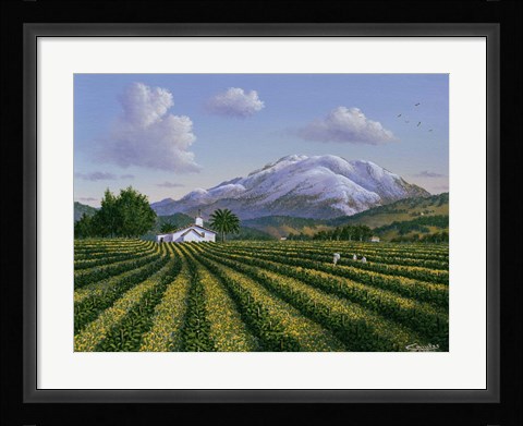 Framed Mount Sta Helena - Napa Valley Print