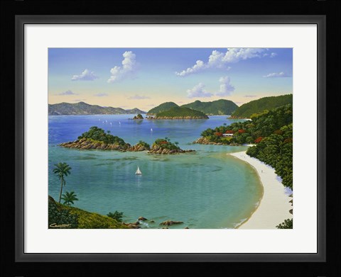 Framed Trunk Bay - Virgin Islands Print