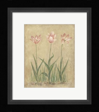 Framed Blooming Tulips II Print
