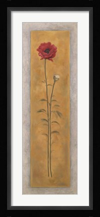 Framed Tall Red Poppy W/Bud Right Print