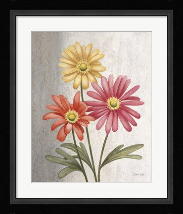 Framed Gerber Daisies Print