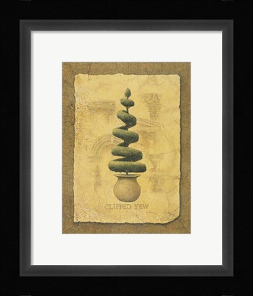 Framed Clipped Yew Print