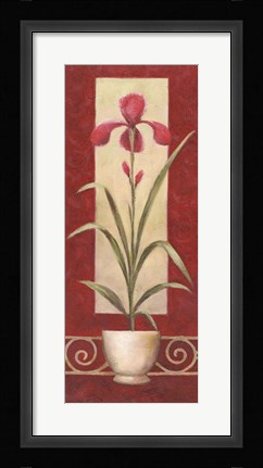 Framed Red Flower In Pot 2 Print