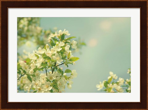 Framed Spring Beauty I Print