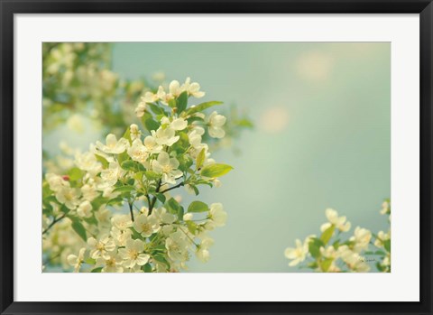 Framed Spring Beauty I Print