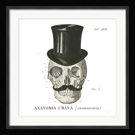 Framed Dandy Bones I Print