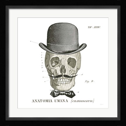 Framed Dandy Bones IV Print