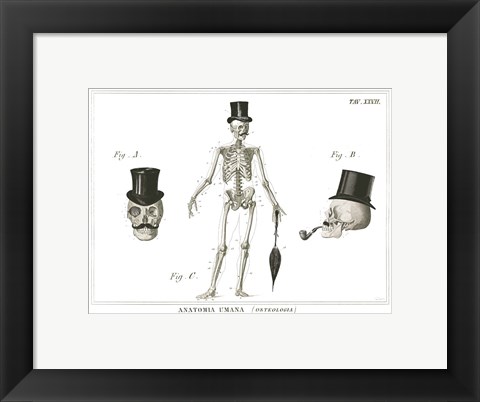 Framed Dandy Bones Print