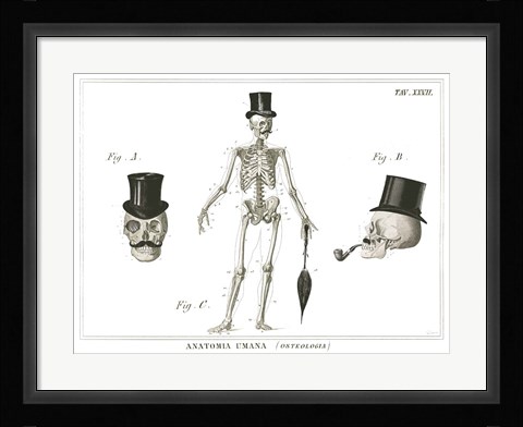 Framed Dandy Bones Print