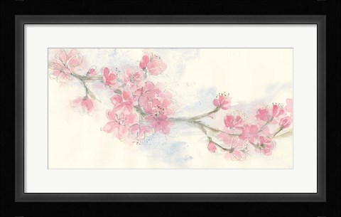 Framed Cherry Blossom II Print