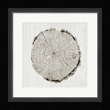 Framed Woodland Years II Print