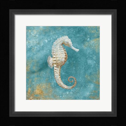 Framed Treasures from the Sea I Aqua Print