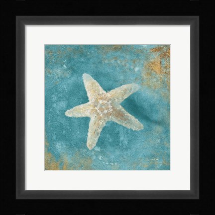 Framed Treasures from the Sea IV Aqua Print