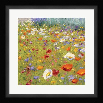 Framed Champ de Fleur II Print