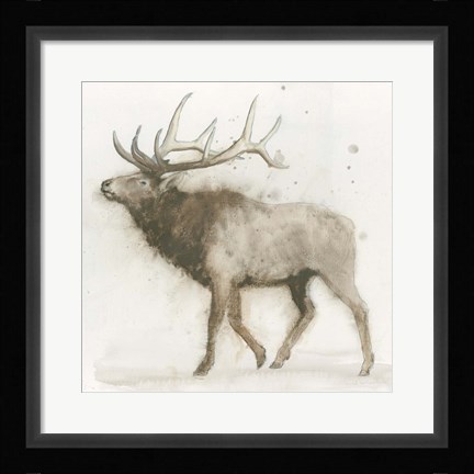 Framed Elk Print