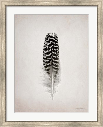 Framed Feather I BW Print