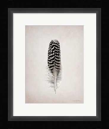 Framed Feather I BW Print