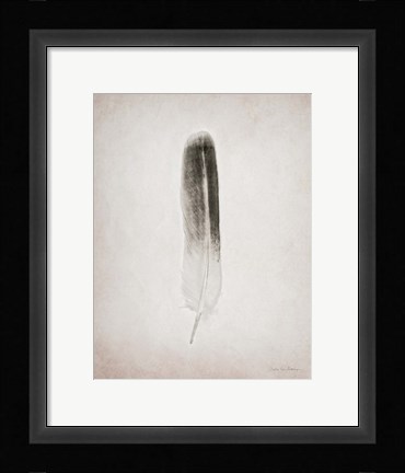 Framed Feather II BW Print