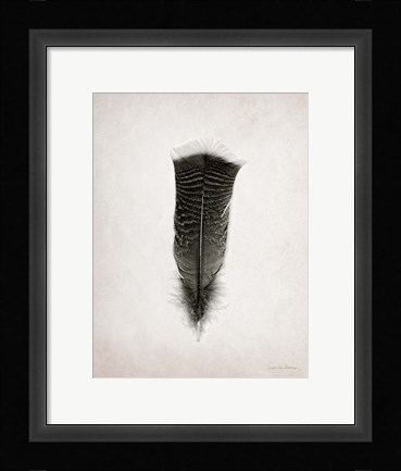 Framed Feather III BW Print