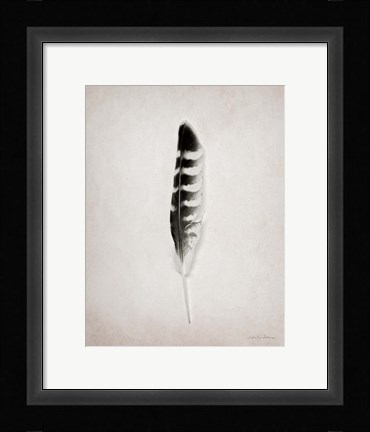 Framed Feather IV BW Print