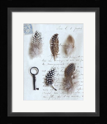 Framed Plume Letters V Print