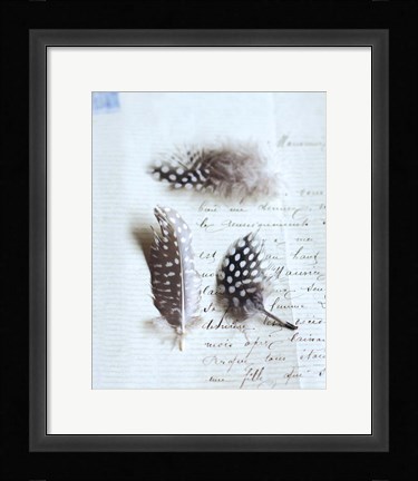 Framed Plume Letters VI Print