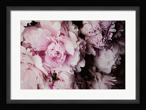 Framed Peonies Galore I Print
