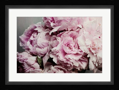 Framed Peonies Galore II Print