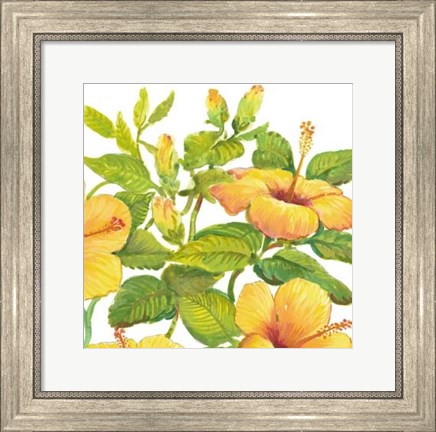 Framed Watercolor Hibiscus II Print