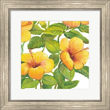 Framed Watercolor Hibiscus IV Print