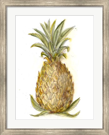 Framed Pineapple Sketch I Print