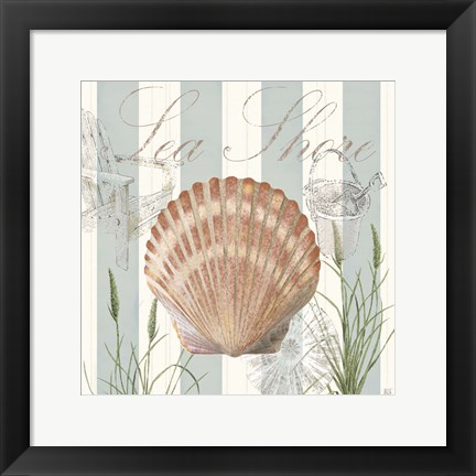Framed Seashells by the Seashore II Print