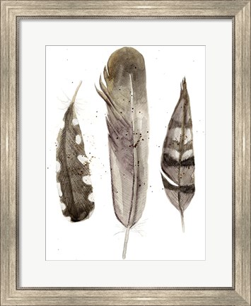Framed Earthtone Feathers II Print