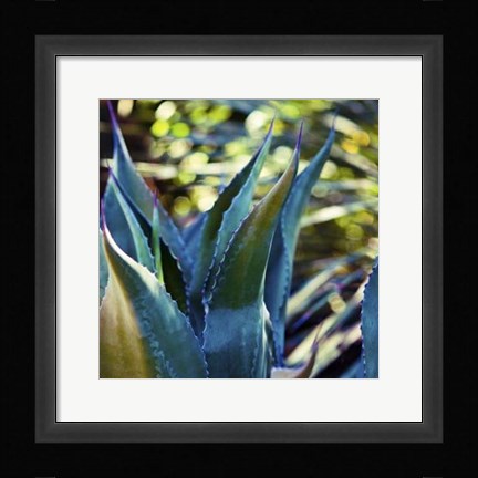 Framed Succulent Vibes I Print