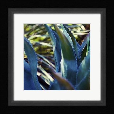 Framed Succulent Vibes II Print