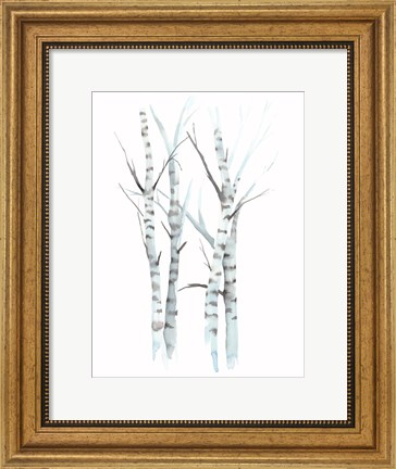 Framed Aquarelle Birches I Print