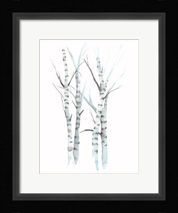 Framed Aquarelle Birches I Print