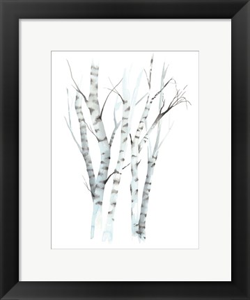 Framed Aquarelle Birches II Print