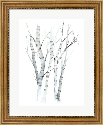 Framed Aquarelle Birches II Print